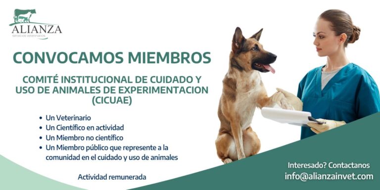 Alianza Investigación Veterinaria convoca miembros para la conformación del Comité Institucional de Cuidado y Uso de Animales de Experimentación (CICUAE)